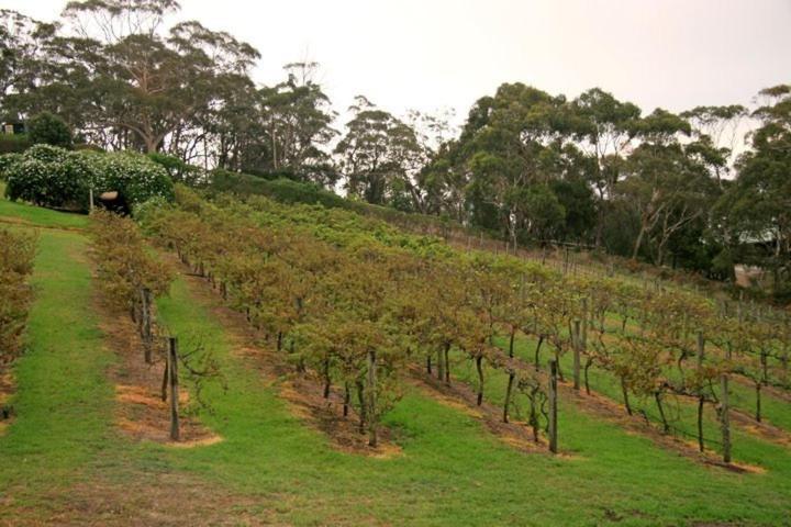 Georges Boutique B&B And Culinary Retreat Arthurs Seat Экстерьер фото